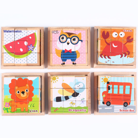 6-in-1 Puzzles Blocks